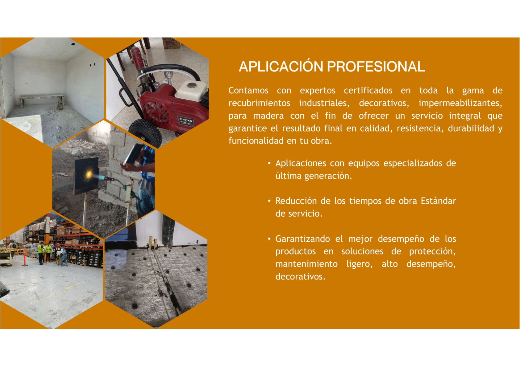 Aplicación profesional Grupo IDC